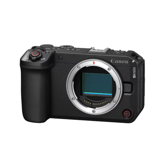 Цифровой фотоаппарат CANON EOS R6 V BODY V2.4